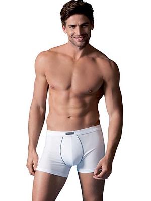 ABANDERADO  Boxer cro abanderado 000850 