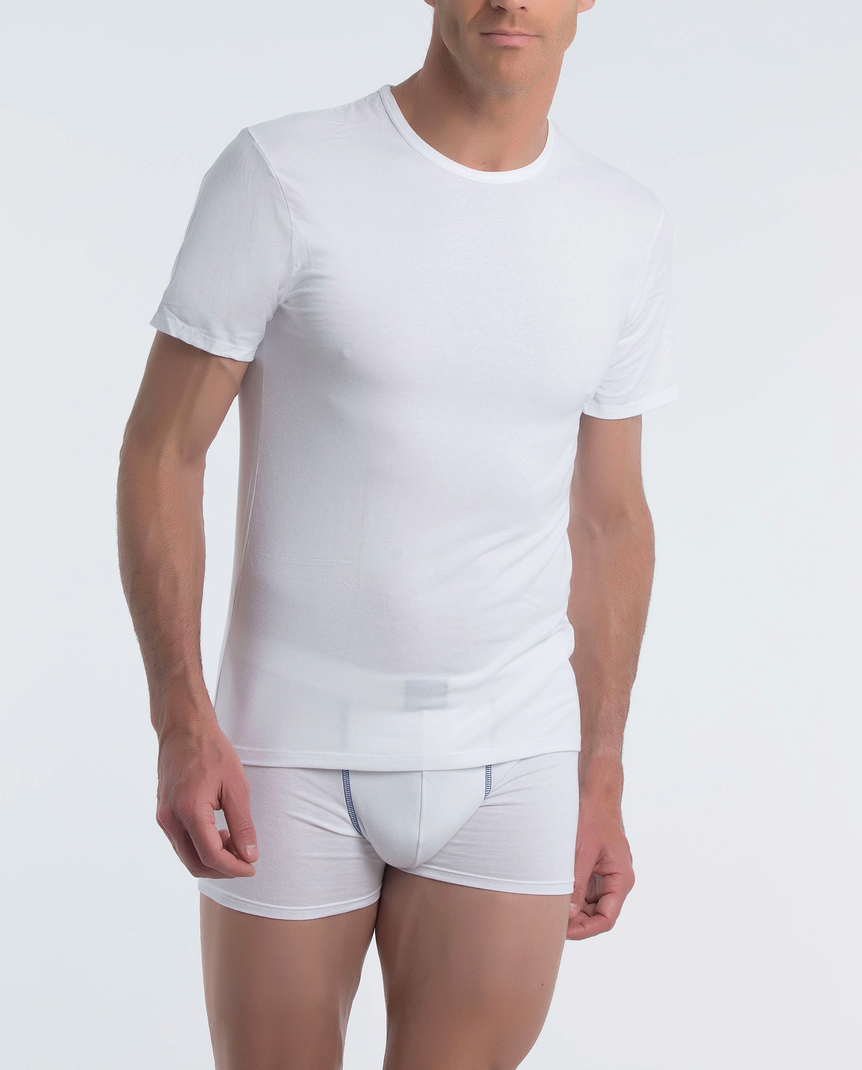 ABANDERADO  Camiseta manga corta, cuello redondo.. 