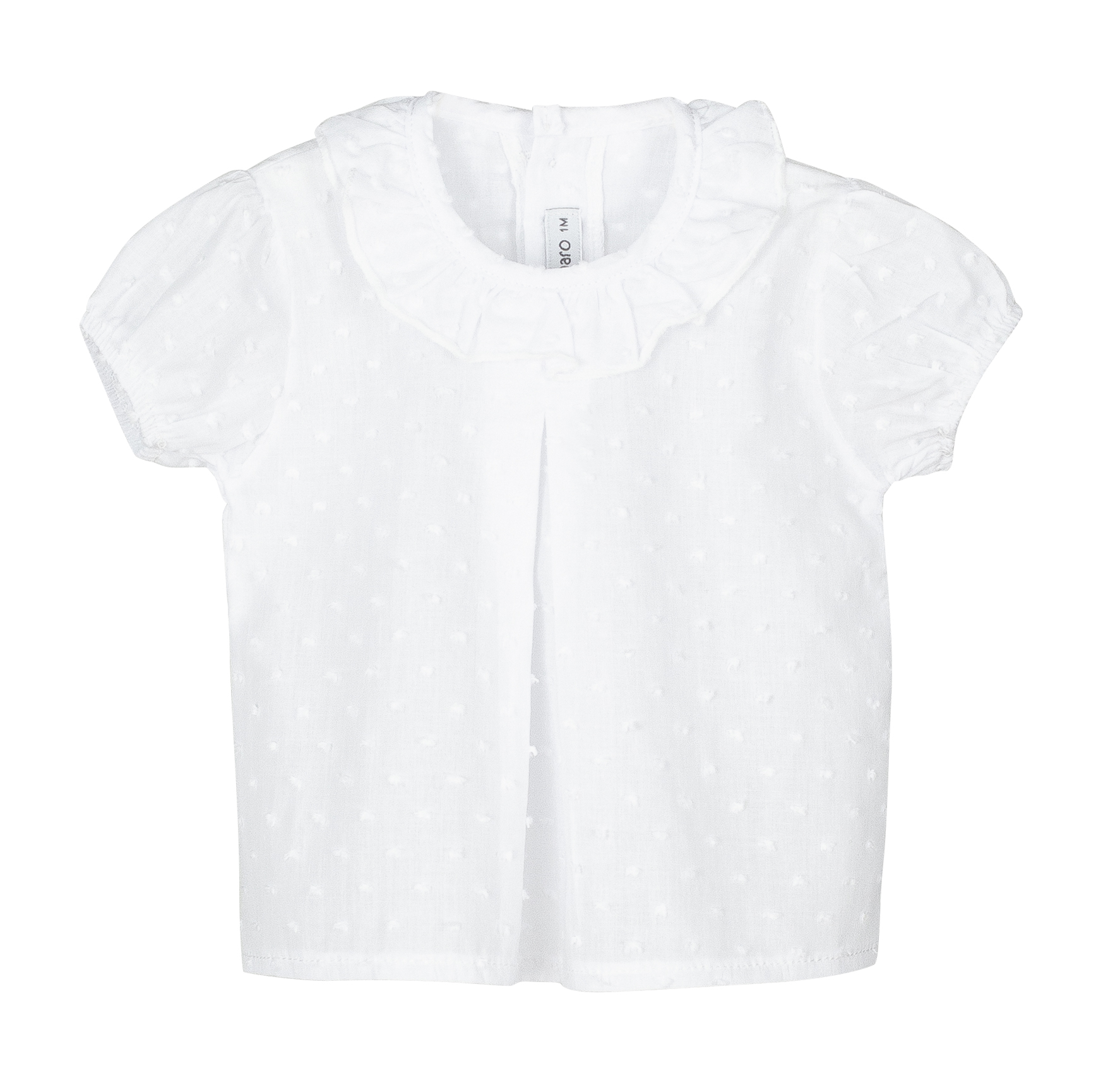   Camisa bebÉ calamaro 017105 