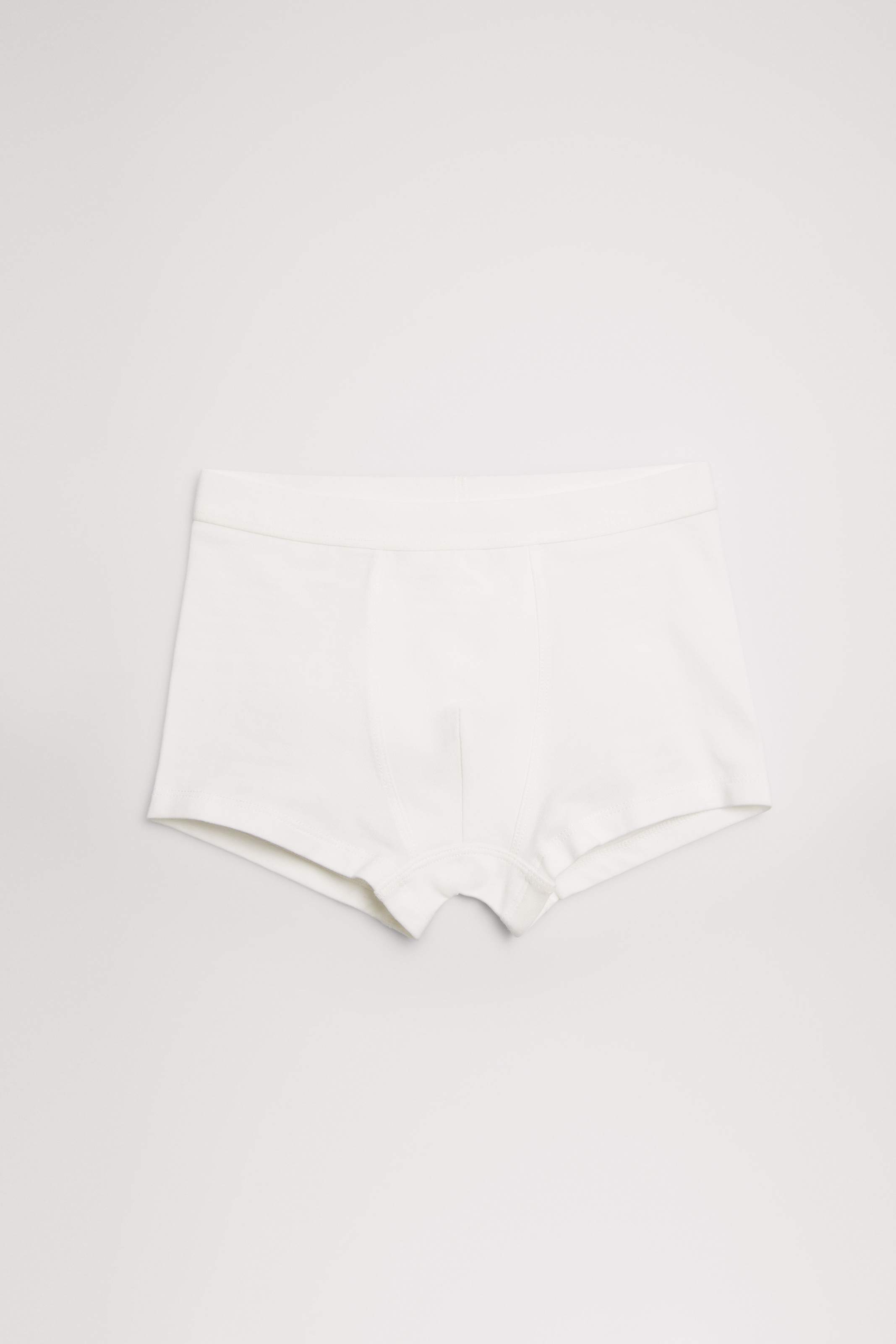 YSABEL MORA  Boxer niño p2 18329 