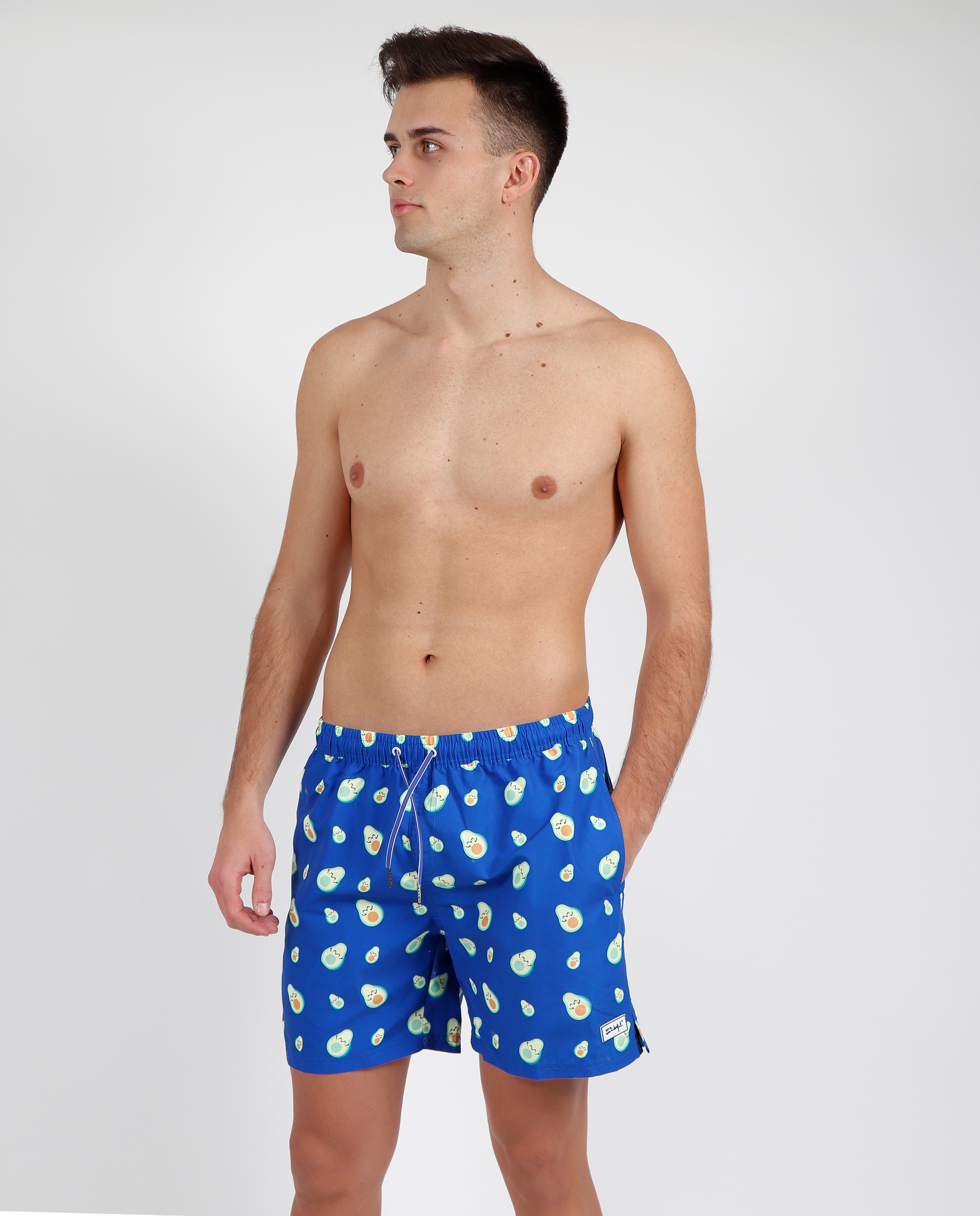   Boxer 16207 mr wonderful 
